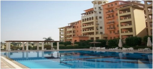 Picture1